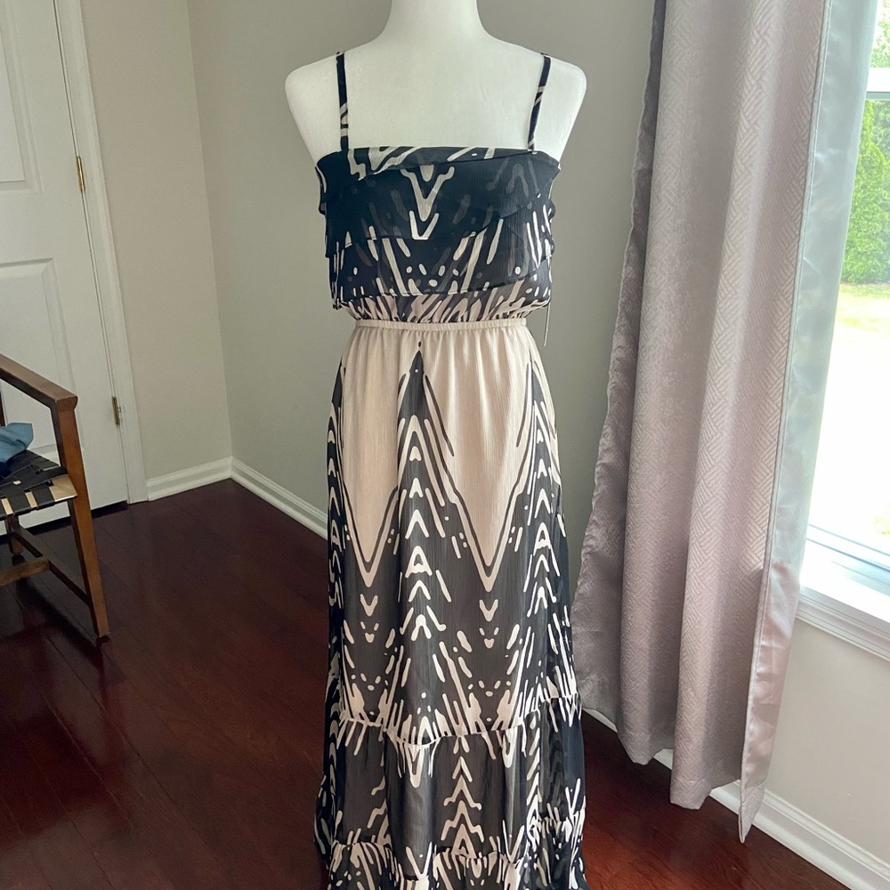 EXPRESS maxi dress
